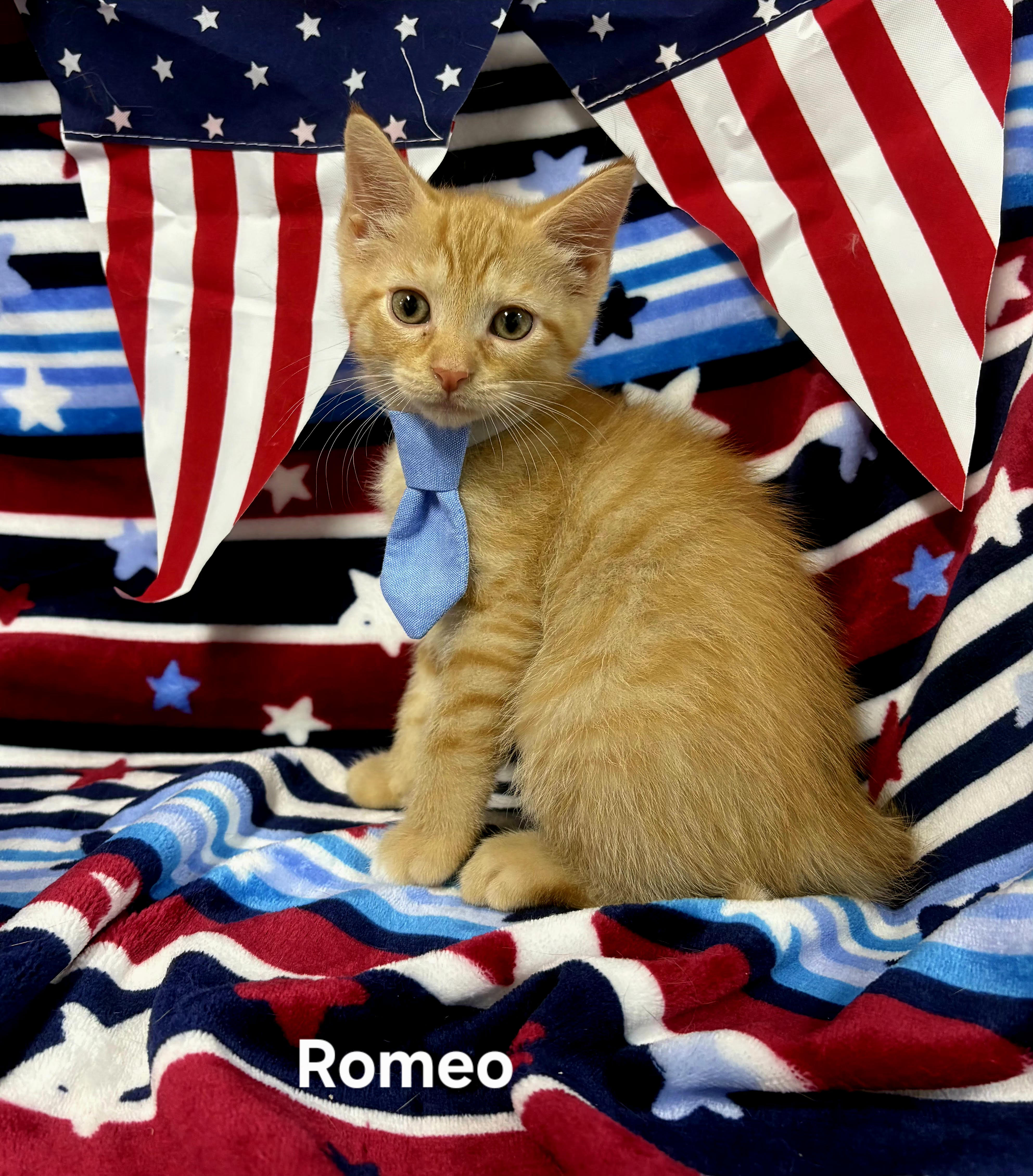 Romeo
